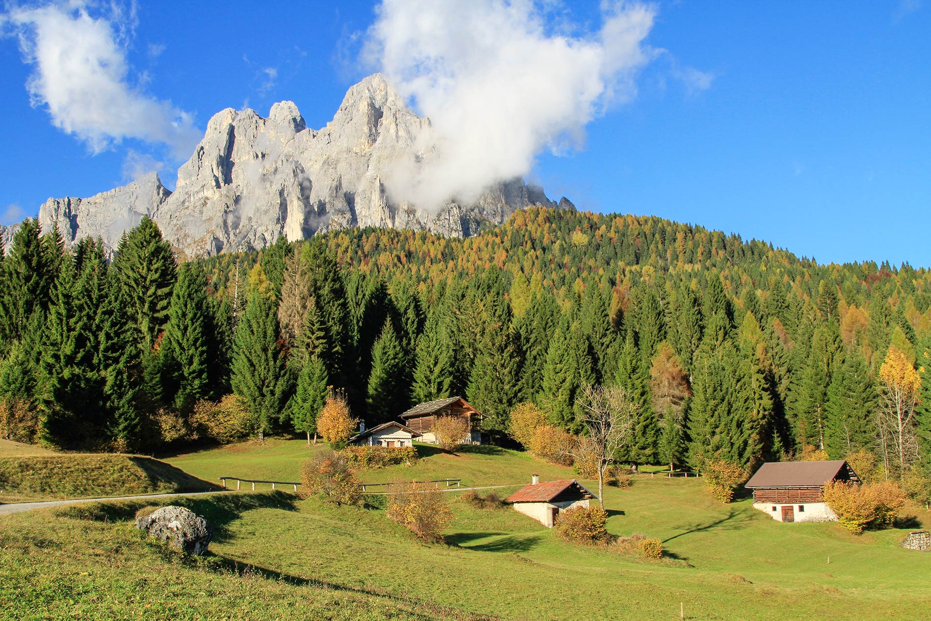 Estate in Primiero
